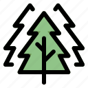 1, tree, forest, camping, nature, pine