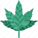 cannabis, marijuana, leaf, hemp, weed