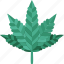 cannabis, marijuana, leaf, hemp, weed 