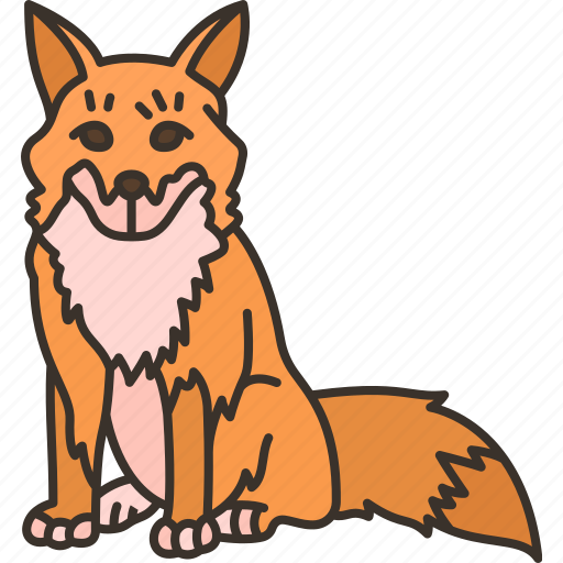 Fox, vulpes, canine, wildlife, animal icon - Download on Iconfinder