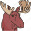 moose, antler, wildlife, animal, nature 