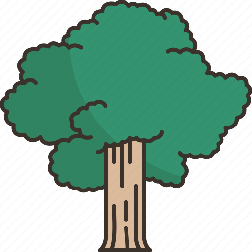 Oak, tree, plant, wood, nature icon - Download on Iconfinder