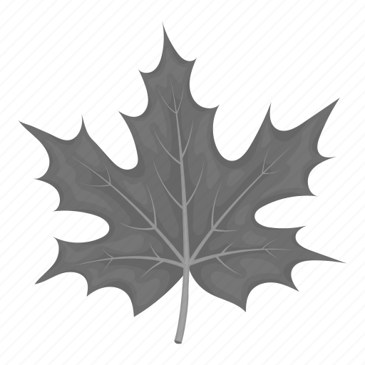 Ecology, forest, leaf, maple, nature, plant, tree icon - Download on Iconfinder