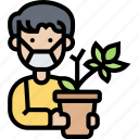 cannabis, cultivation, grow, hemp, plant