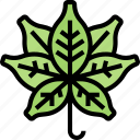 cannabis, leaves, plant, marijuana, herb