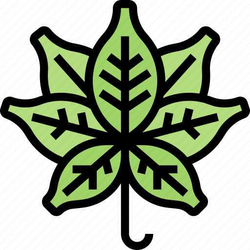 Cannabis, leaves, plant, marijuana, herb icon - Download on Iconfinder