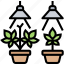 cannabis, grow, farm, plant, herb 