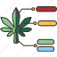 leaf, analytical, research, cannabis, botanical 