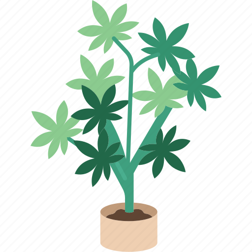 Cannabis, marijuana, plant, grow, farm icon - Download on Iconfinder