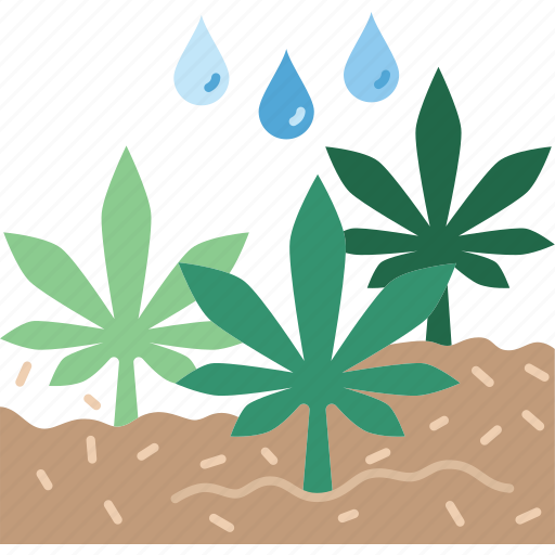 Cultivation, farming, agriculture, plant, cannabis icon - Download on Iconfinder