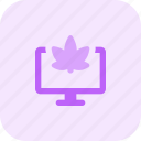 monitor, cannabis, screen, drug