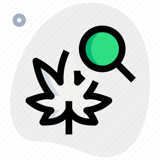 Cannabis, search, find, magnifier icon - Download on Iconfinder