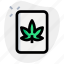 file, cannabis, format, drug 