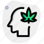head, cannabis, man, drug 