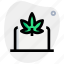 laptop, cannabis, screen, drug 