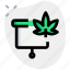 presentation, cannabis, report, drug 