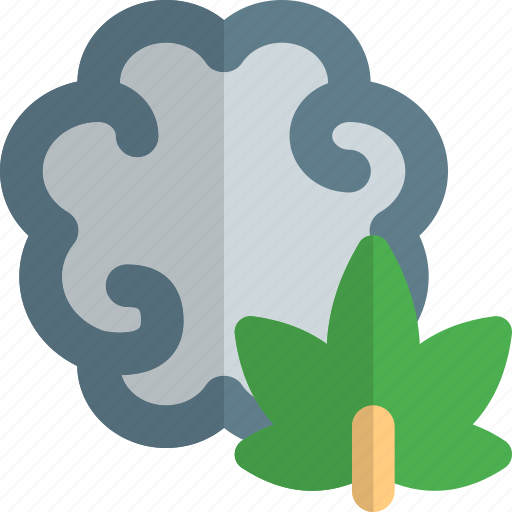 Brain, cannabis, mind, drug icon - Download on Iconfinder