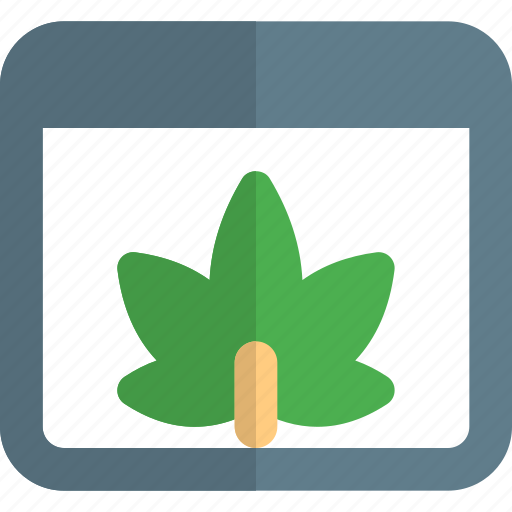 Browser, cannabis, webpage, drug icon - Download on Iconfinder