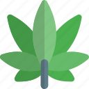 cannabis, drug, leaf, medicine