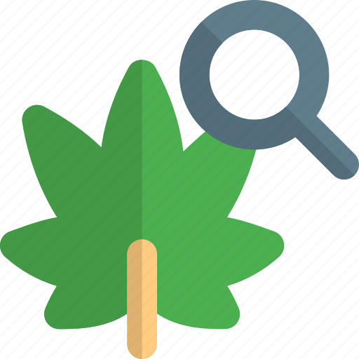 Cannabis, search, find, magnifier icon - Download on Iconfinder