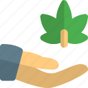 cannabis, share, connection, drug