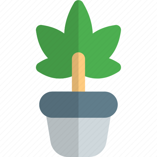 Ecstasy, plant, drug, cannabis icon - Download on Iconfinder