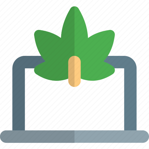 Laptop, cannabis, device, drug icon - Download on Iconfinder