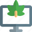 monitor, cannabis, screen, leaf 