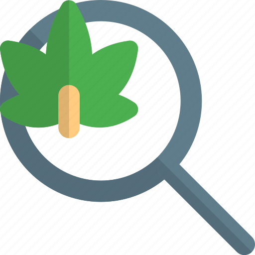 Search, cannabis, find, magnifier icon - Download on Iconfinder
