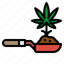 cannabis, cbd, hemp, marijuana, plant
