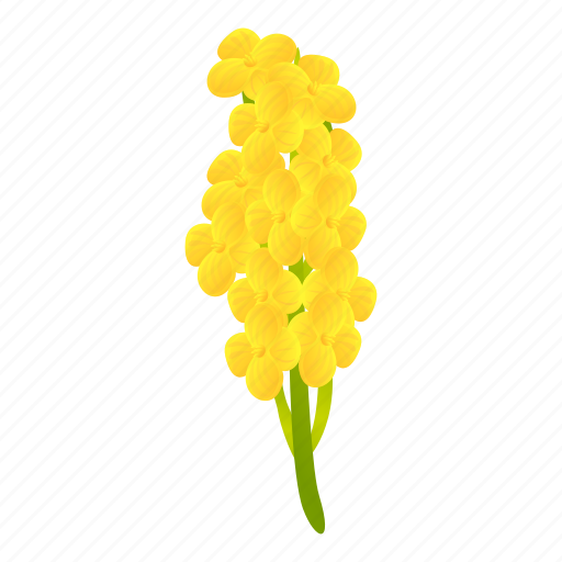Canola, bio, plant, rapeseed icon - Download on Iconfinder