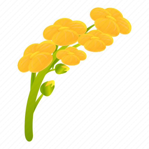 Canola, flower, brassica icon - Download on Iconfinder