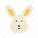 rabbit face, rabbit, bunny, animal, easter, cute, white, teddy