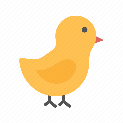 Baby chick, chicken, hen, rooster, hatching, animal, doddle icon - Download on Iconfinder