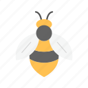honeybee, bee, insect, stingless, apis, wasp, apiary, honey