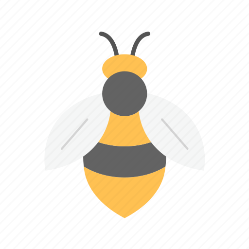 Honeybee, bee, insect, stingless, apis, wasp, apiary icon - Download on Iconfinder