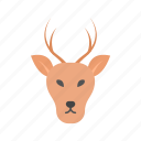 deer, moose, reindeer, christmas, wild animal, animal face, beast