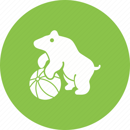 Animal, bear, circus, face, fun, show icon - Download on Iconfinder