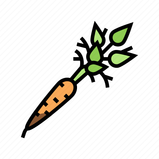 Carrot, vitamin, juicy, vegetable, salad, baked icon - Download on Iconfinder