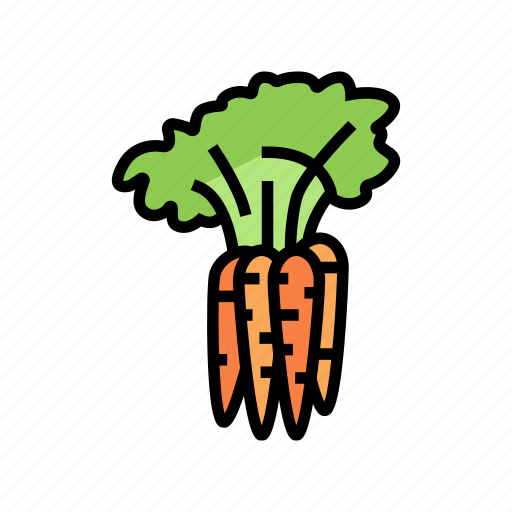 Plant, carrot, vitamin, juicy, vegetable, salad icon - Download on Iconfinder