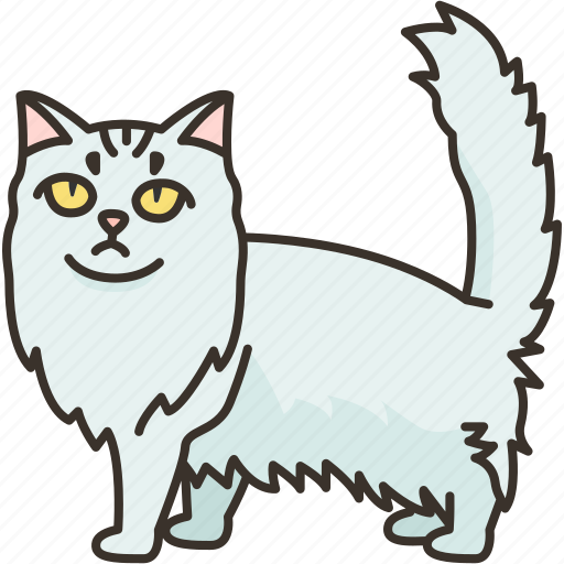 Asian, semi, longhair, cat, pet icon - Download on Iconfinder