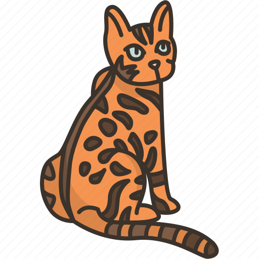 Bengal, hybrids, breed, cat, domestic icon - Download on Iconfinder