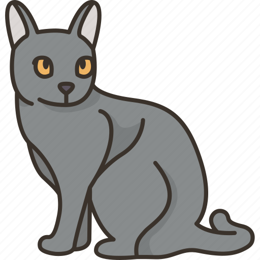 Korat, breed, thai, cat, pet icon - Download on Iconfinder
