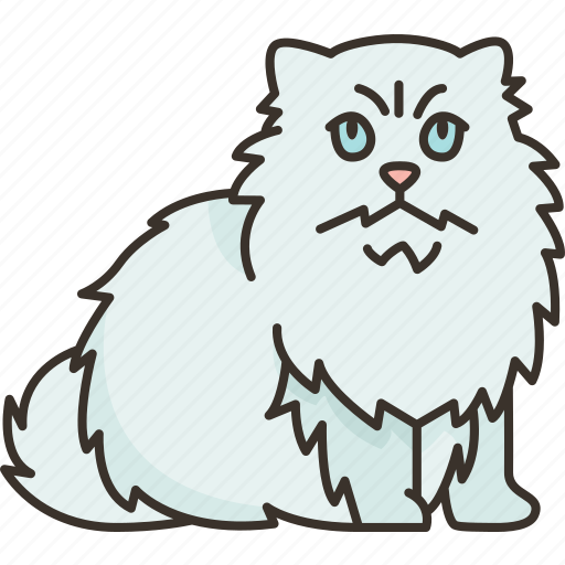 Persian, longhair, breed, feline, pet icon - Download on Iconfinder