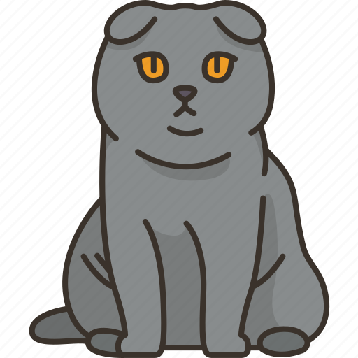 Scottish, fold, cat, pet, purebred icon - Download on Iconfinder