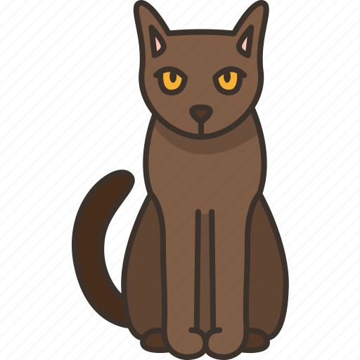 Suphalak, cat, thai, pet, animal icon - Download on Iconfinder