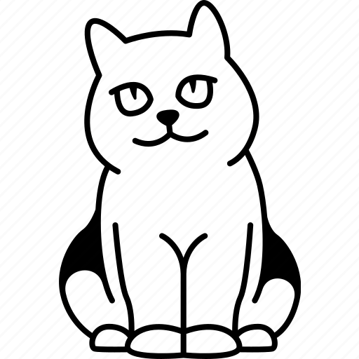 British, shorthair, cat, domestic, pet icon - Download on Iconfinder