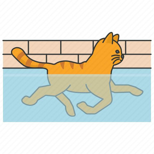 Swimming, cat, pool, bathing, pet, tabby icon - Download on Iconfinder