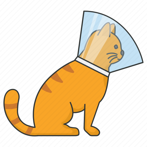 Cat, sick, cat cone, health, healthcare, pet icon - Download on Iconfinder