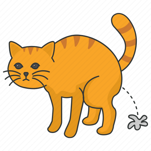 Cat pee, peeing, cat, tabby, feline, kitten icon - Download on Iconfinder